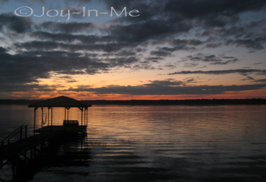 Picture 019